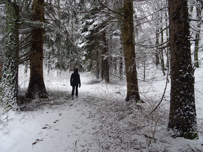 breve passeggiata tra la neve fresca di oggi.....